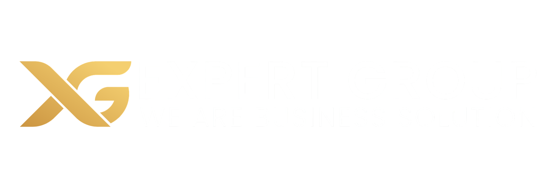 OUR TEAM – EXPERT GROUP